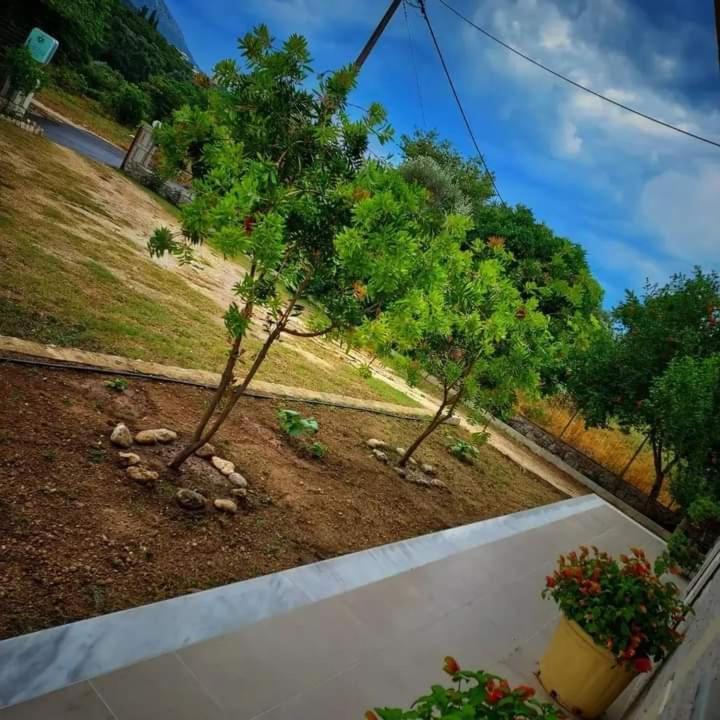 Calma Studios Парга Екстер'єр фото